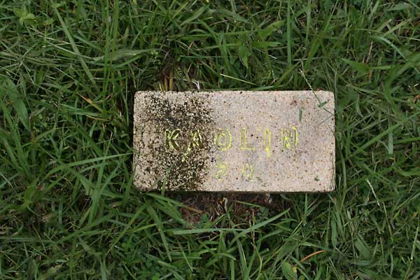 K A Olin Gravestone Photo
