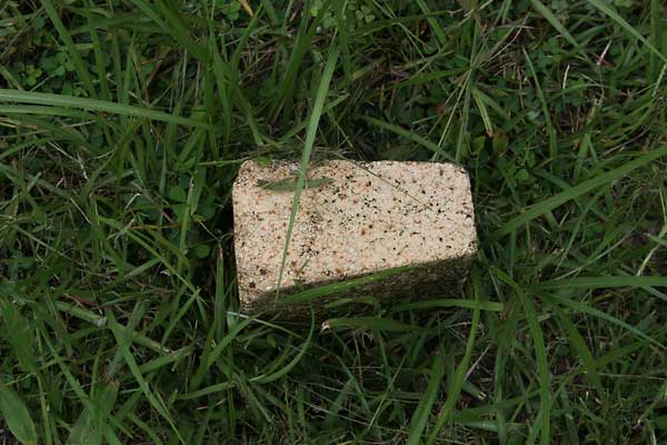  Unknown Gravestone Photo