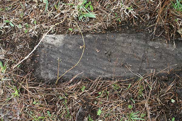  Unknown Gravestone Photo