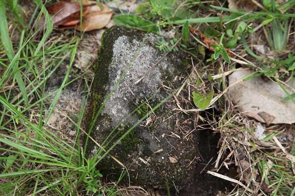  Unknown Gravestone Photo