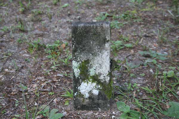  Unknown Gravestone Photo