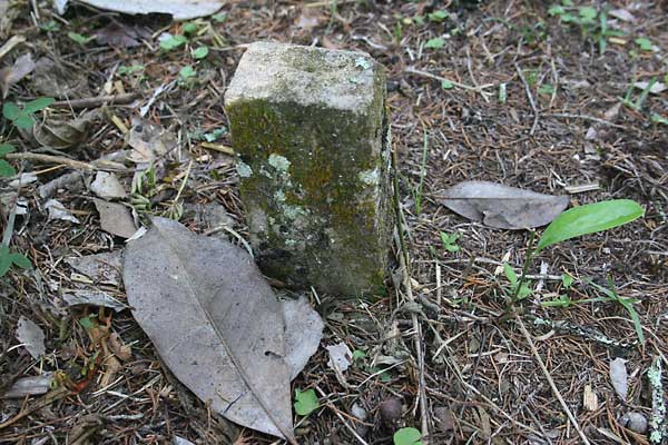  Unknown Gravestone Photo