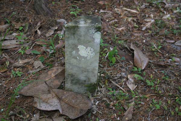  Unknown Gravestone Photo