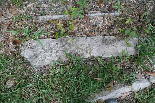  Unknown Gravestone Photo