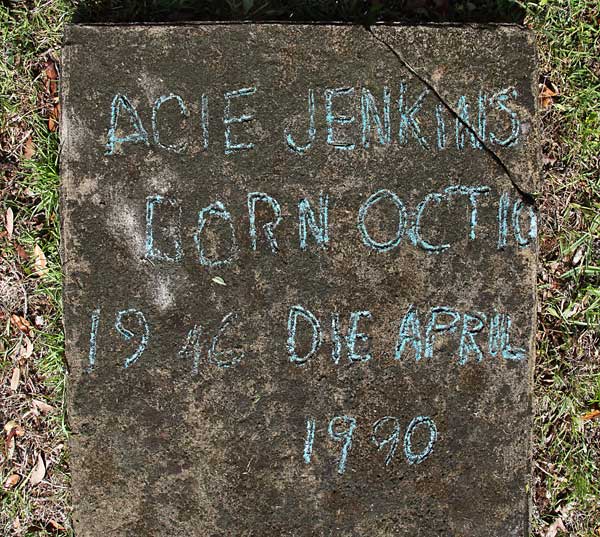 Acie Jenkins Gravestone Photo