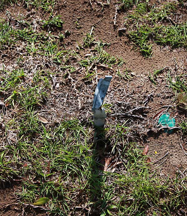  Unknown Gravestone Photo