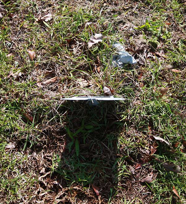  Unknown Gravestone Photo