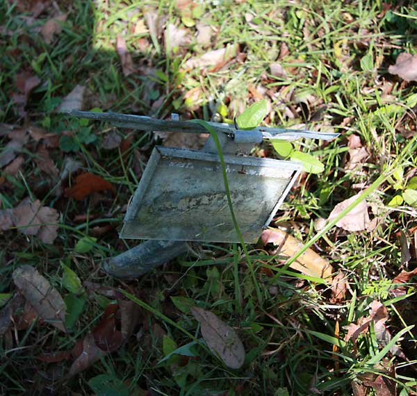  Unknown Gravestone Photo