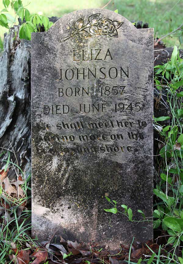 Eliza Johnson Gravestone Photo