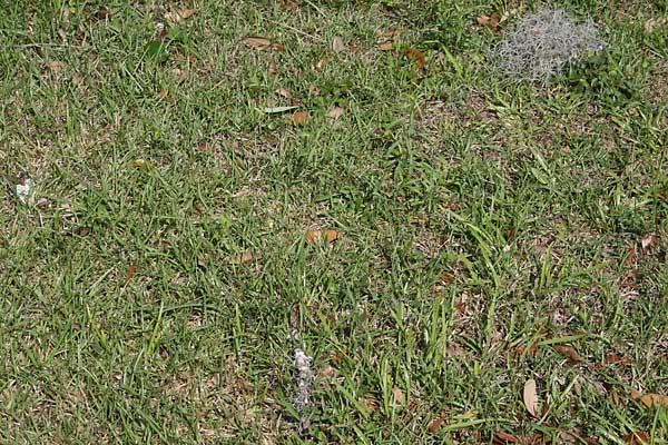  Unknown Gravestone Photo