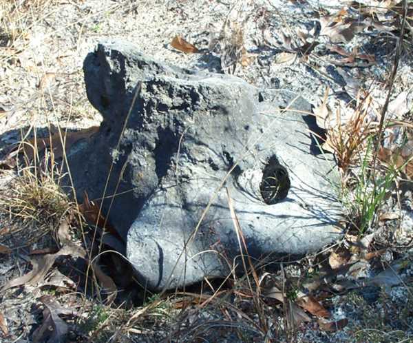  Unknown Gravestone Photo