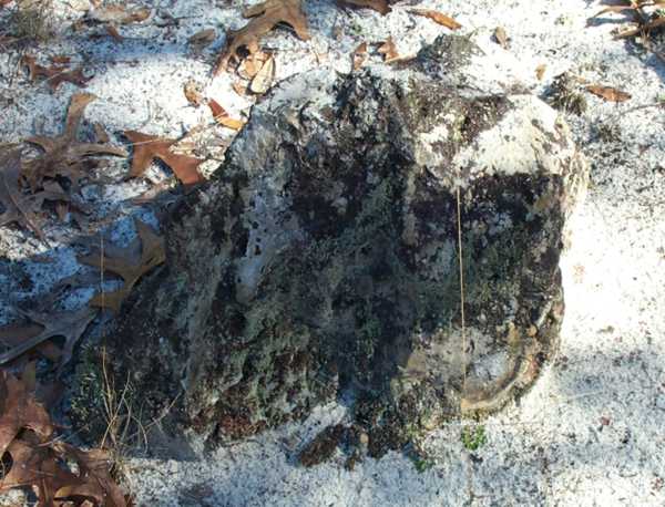  Unknown Gravestone Photo