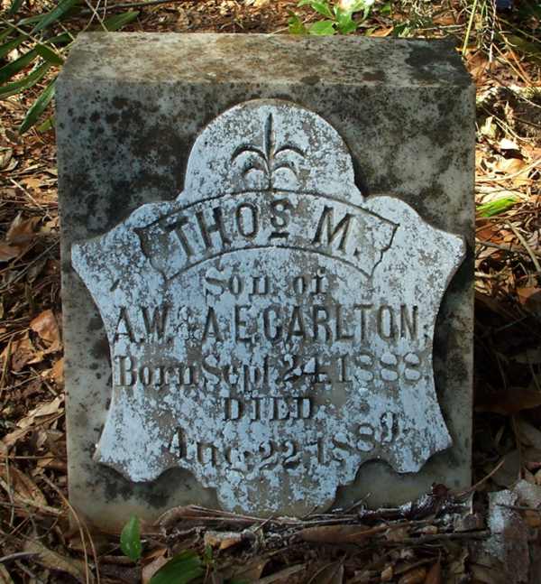 Thos. M. Carlton Gravestone Photo