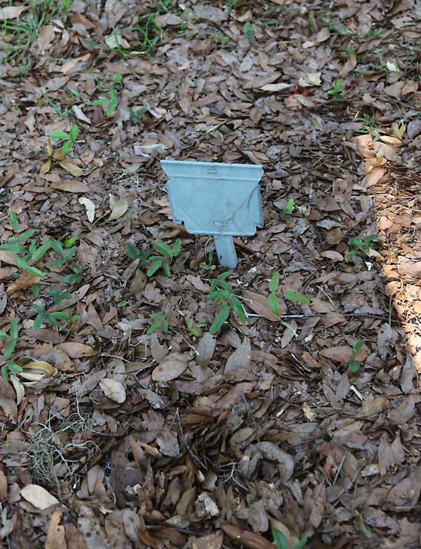  Unknown Gravestone Photo