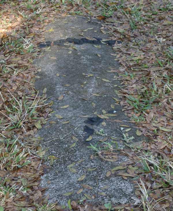 Merllin Brown Gravestone Photo