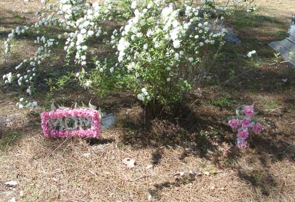  Unknown Gravestone Photo