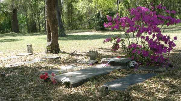  SE View Gravestone Photo
