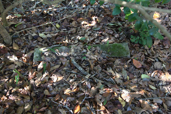  Unknown Gravestone Photo