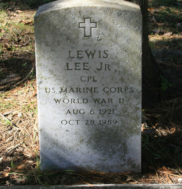 LEWIS LEE Gravestone Photo