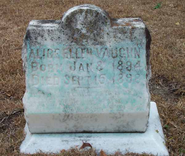 Alice Ellen Vaughn Gravestone Photo