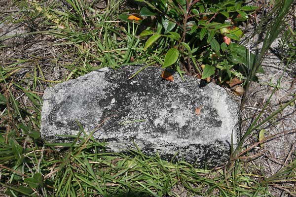  Unknown Gravestone Photo