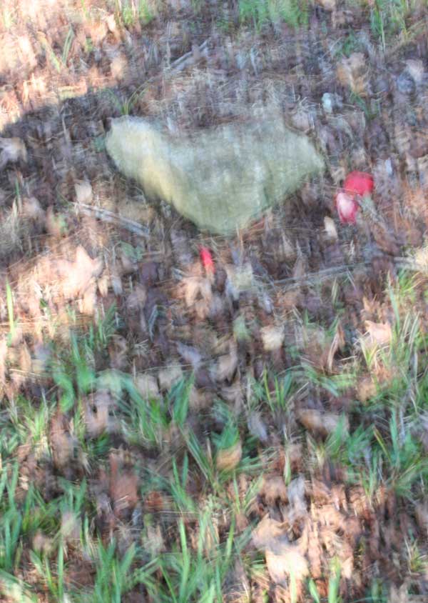  Unknown Gravestone Photo