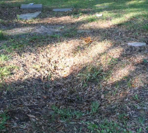  Unknown Gravestone Photo