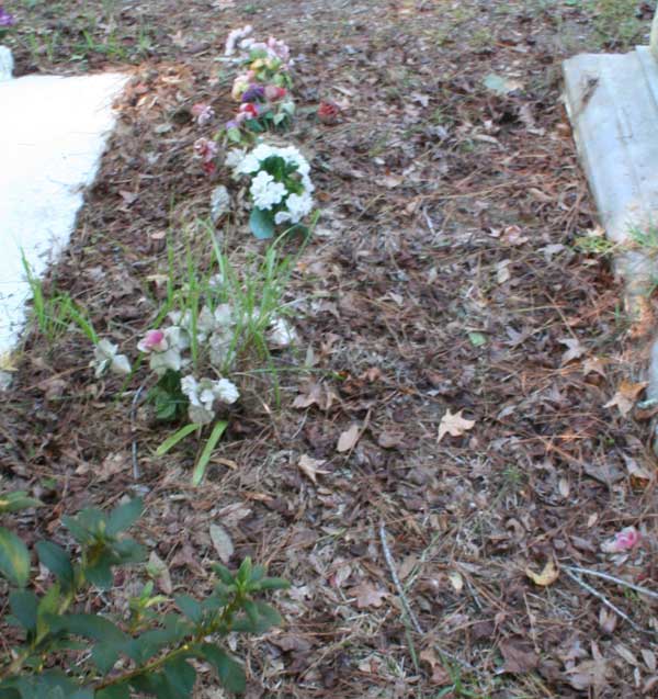  Unknown Gravestone Photo