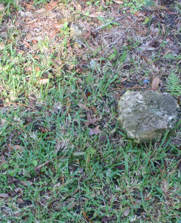  Unknown Gravestone Photo