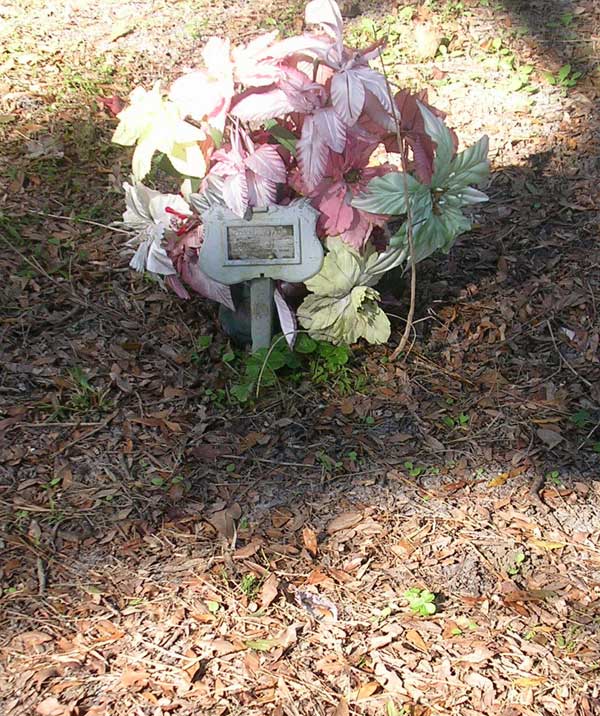  Unreadable Gravestone Photo
