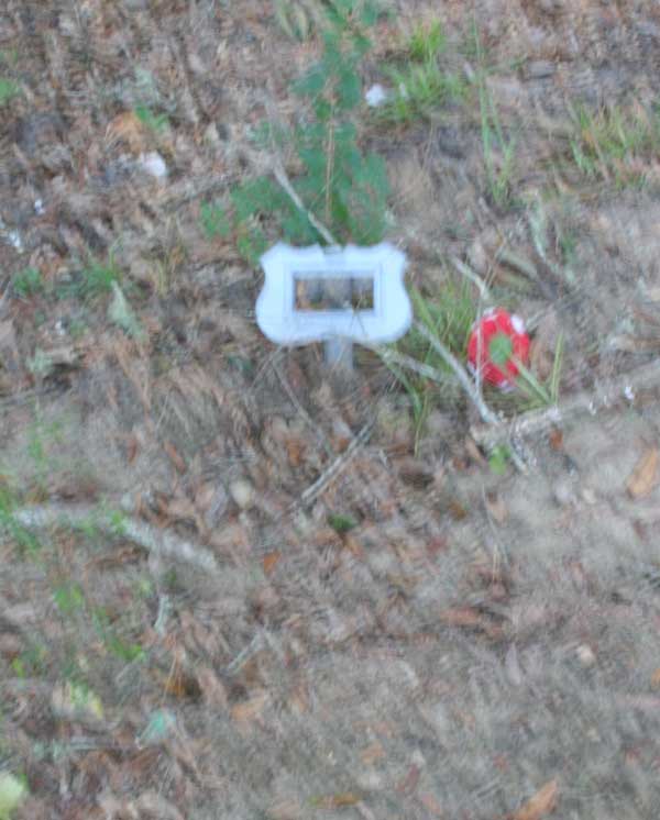  Unknown Gravestone Photo