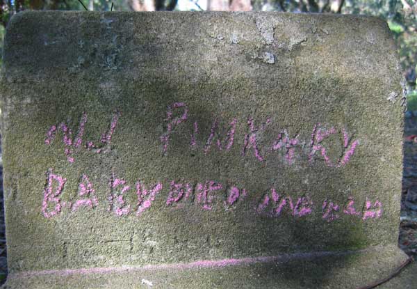 N.J. Pinkney Gravestone Photo