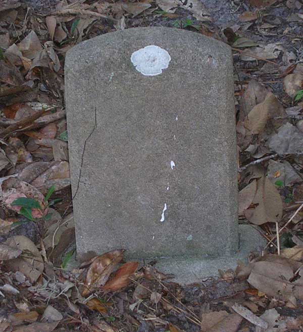  Unknown Gravestone Photo