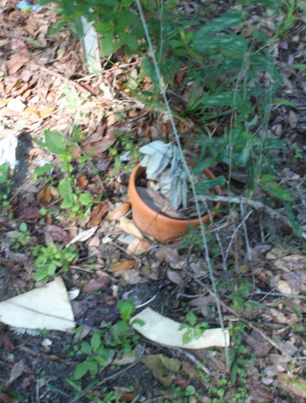  Unknown Gravestone Photo