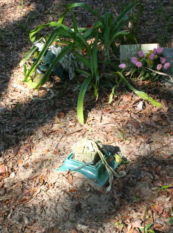  Unknown Gravestone Photo