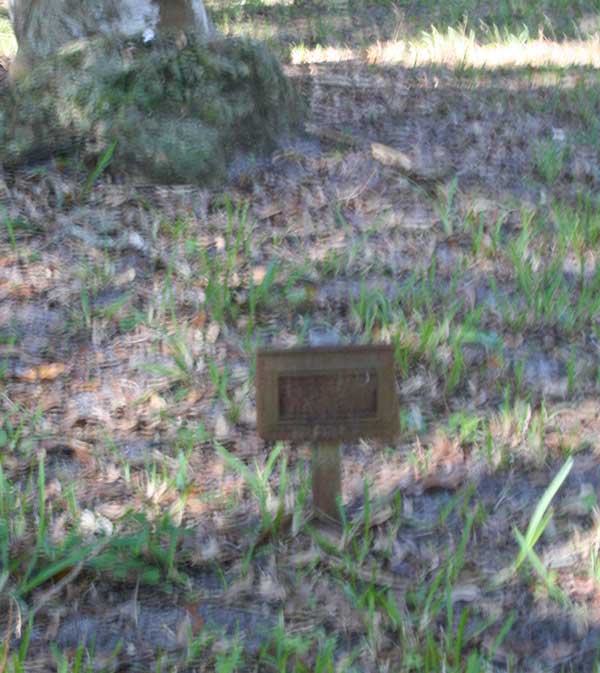  Unknown Gravestone Photo