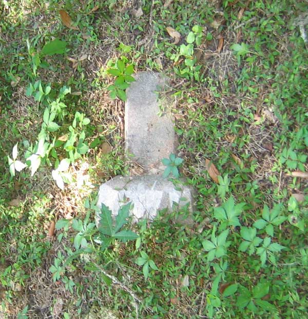  Unknown Gravestone Photo
