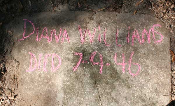 Diana Williams Gravestone Photo