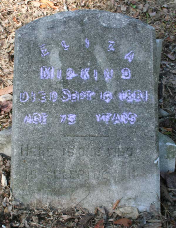 Eliza Miskins Gravestone Photo