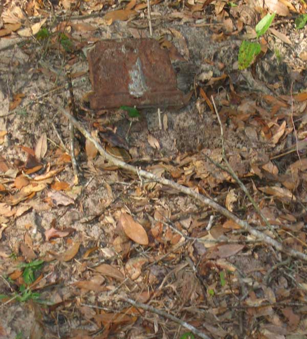  Unreadable Gravestone Photo