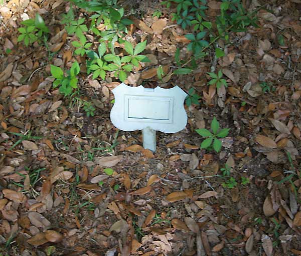  Unknown Gravestone Photo