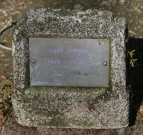 Mary Patrick Gravestone Photo