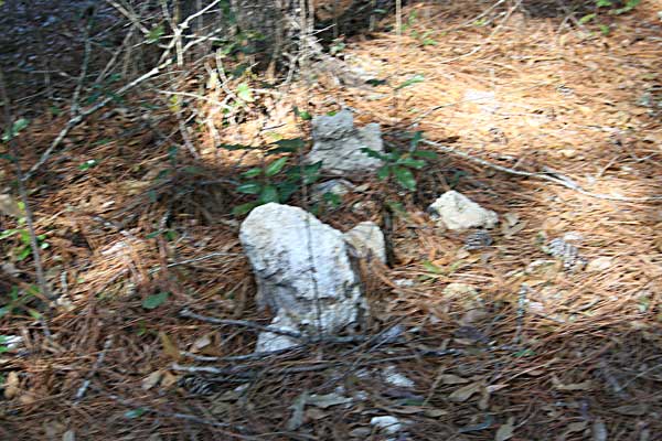 Unknown Gravestone Photo