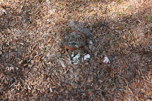  Unknown Gravestone Photo