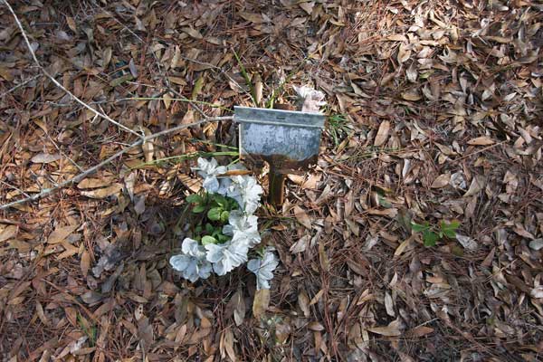  Unknown Gravestone Photo