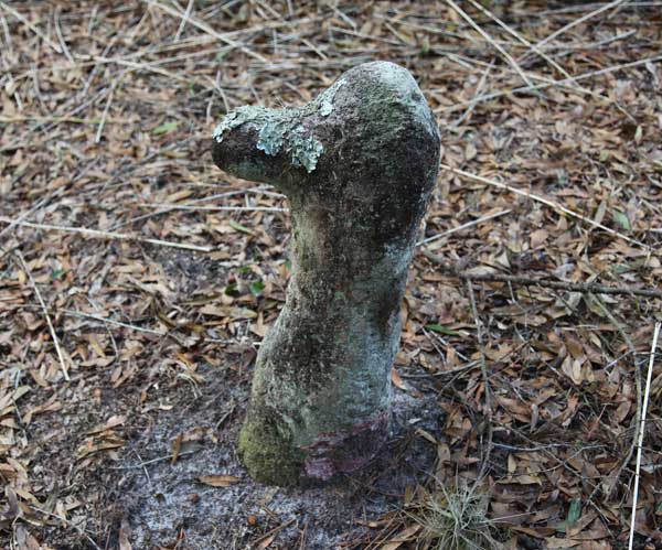  Unknown Gravestone Photo
