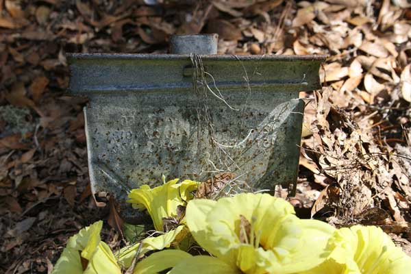  Unknown Gravestone Photo