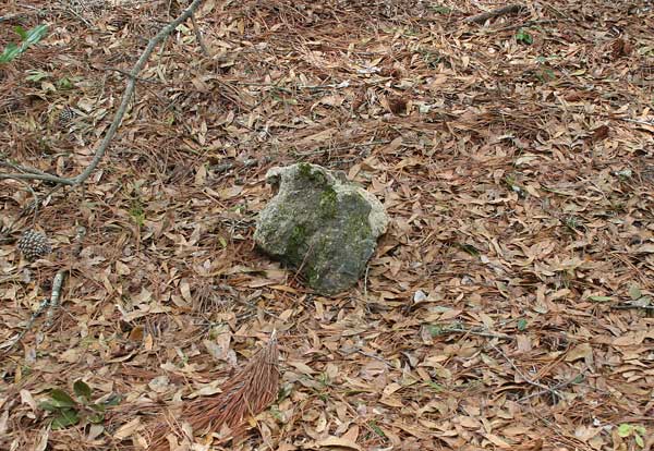  Unknown Gravestone Photo