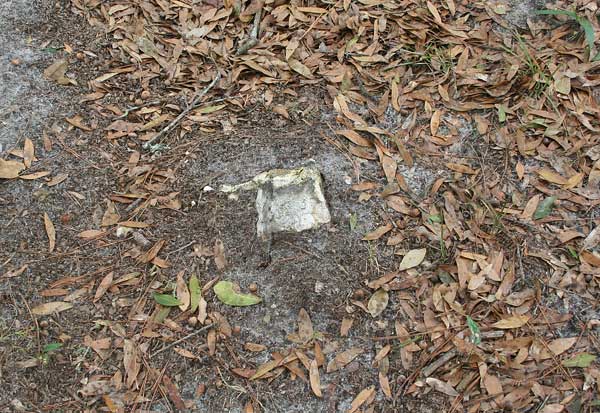  Unknown Gravestone Photo