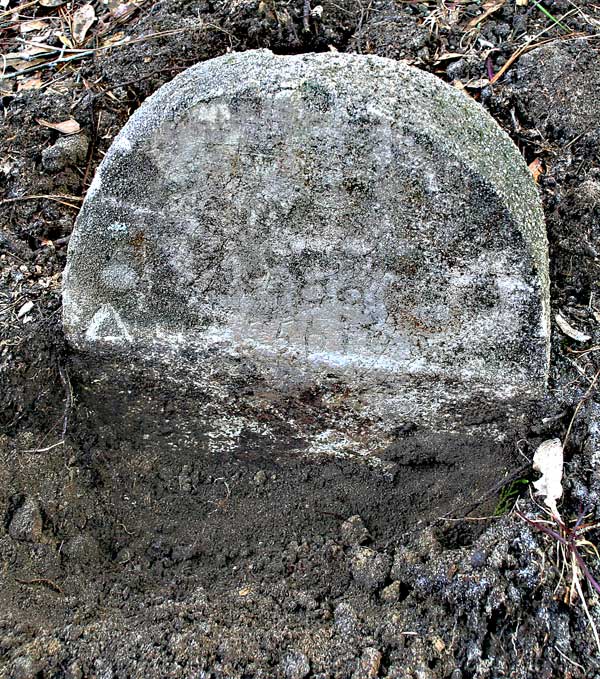  Unknown Gravestone Photo